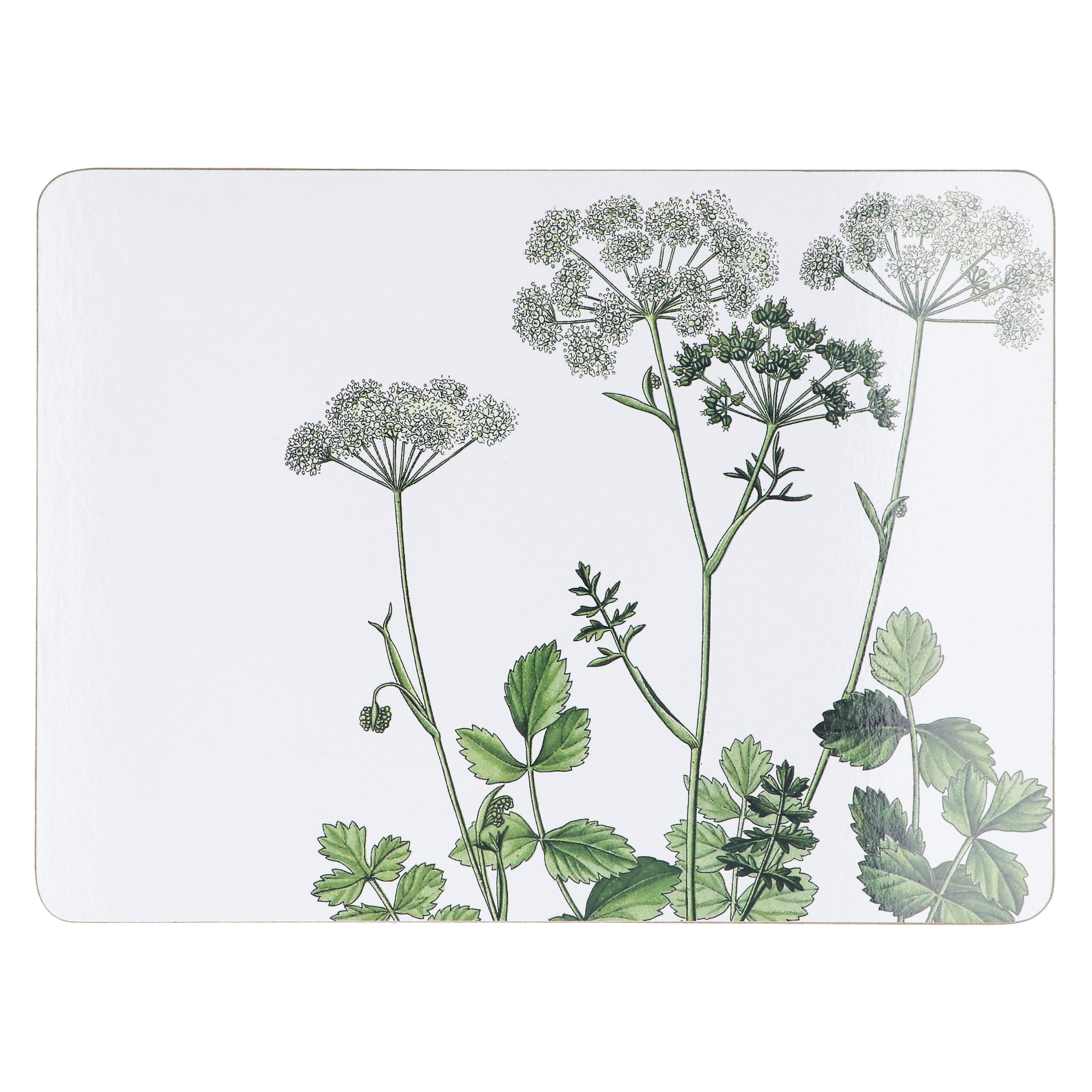 Botanical Placemats