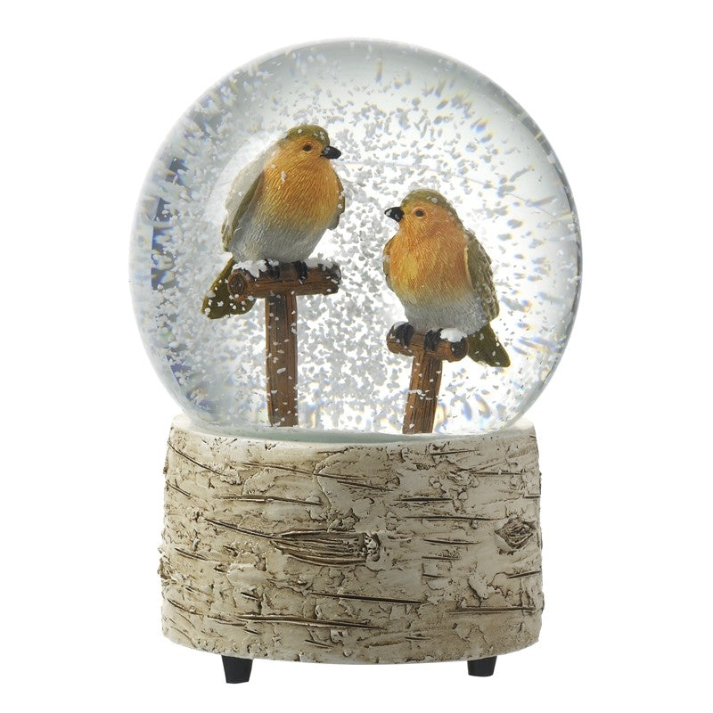 Robin snow globe