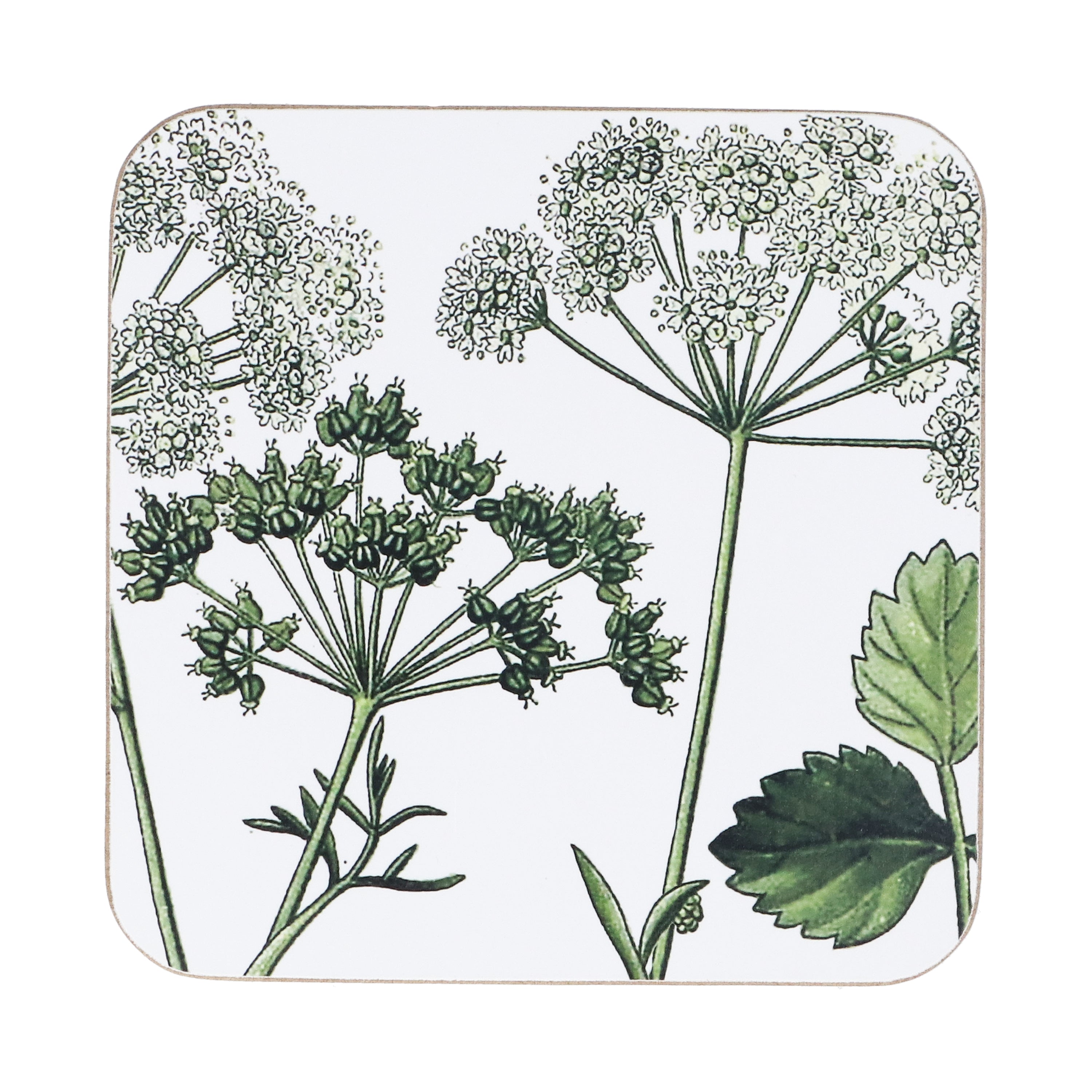 Botanical Coasters