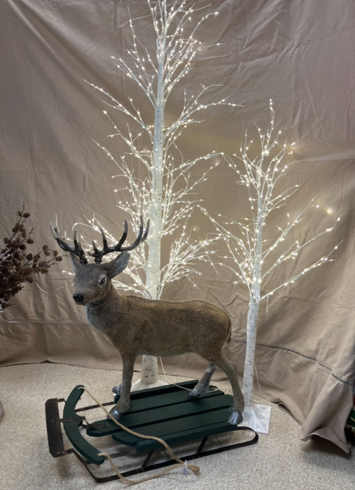 Reindeer and Light up Tree Display