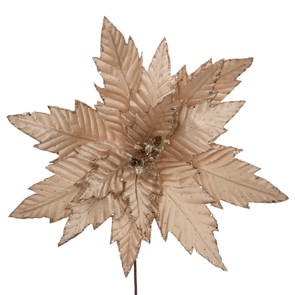 Large Velvet Champagne Poinsettia Stem