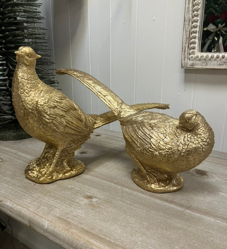 Pair of gold pheasants