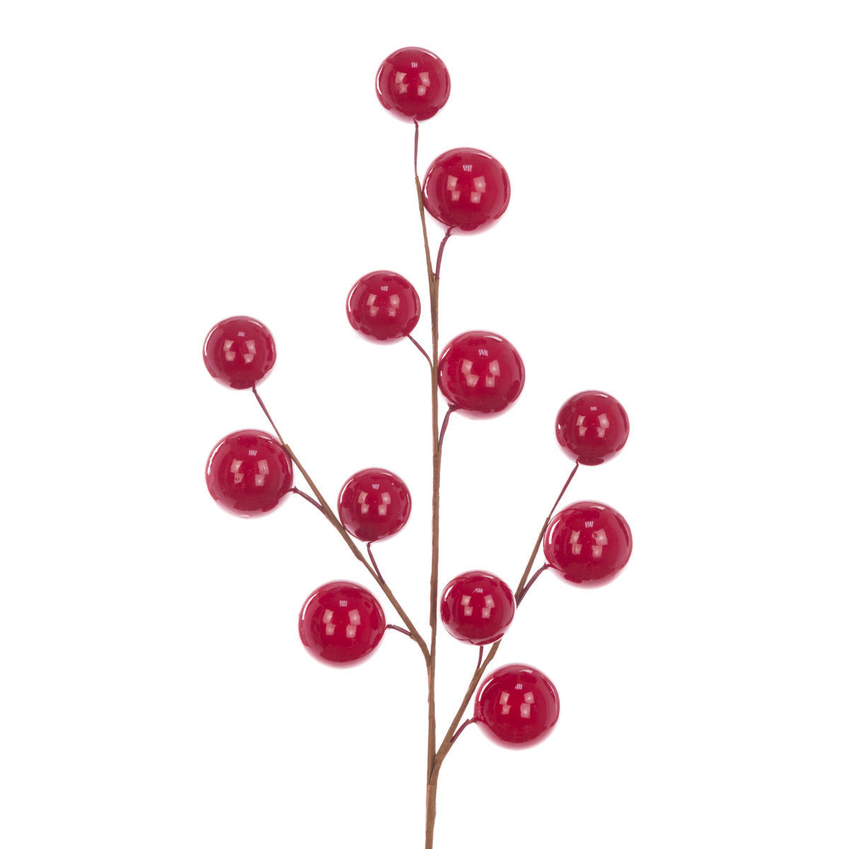 Spray with large red berries